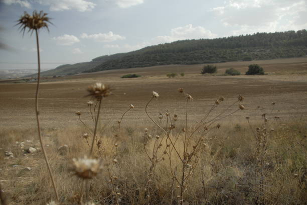 istock Elah Valley Israel 1270691964