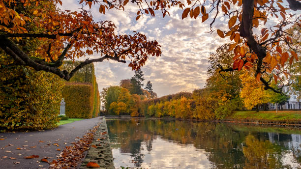 haute haie, nuages et son reflet dans l’étang du parc oliwa dans le paysage d’automne. - bench forest pond autumn photos et images de collection