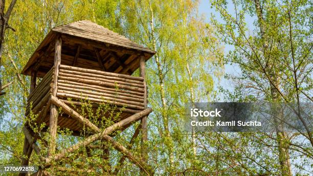 Guard Tower In Labor Camp Stock Photo - Download Image Now - Gulag, Agricultural Field, Architecture