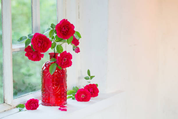 istock red roses in red glass vase on windowsill 1270699571