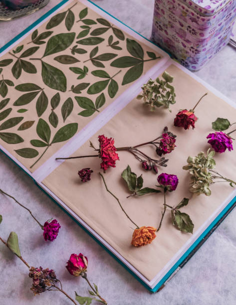 istock Notebook with dried flowers and leaves collage 1270699952