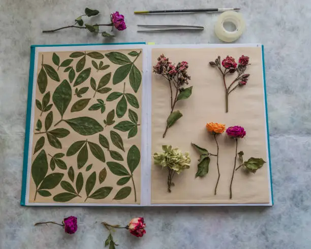 Photo of Notebook with dried flowers and leaves collage
