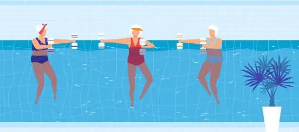 Vector illustration of Sport swim activity in pool vector illustration, cartoon flat elderly woman swimmer character group doing exercise with dumbbells