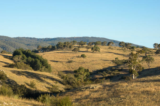 istock Rolling Country Hills Landscape 1270714407
