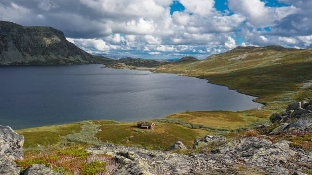 Beautiful sunny nature in the Norwegian mountains