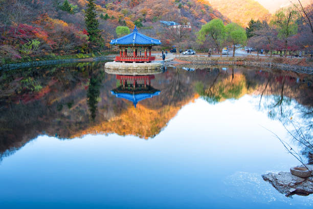 istock Autumn Morning in Korea 1270717226