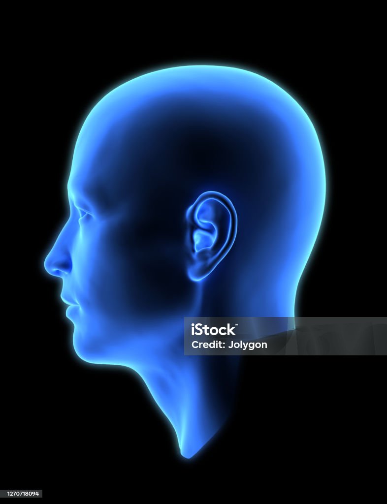 Side View Head Model 3d Man Head Side View Isolated On Dark Bg Stock Photo - Download Image ...
