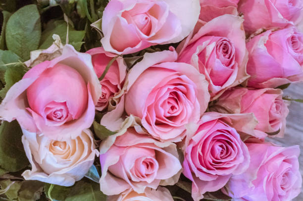 istock Close-Up of Roses Bouquet 1270725998