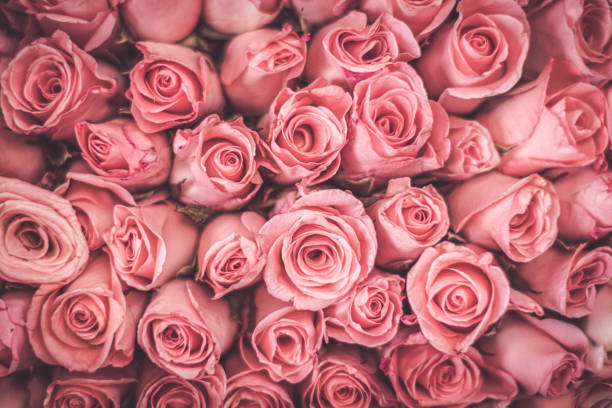 istock Full Frame of Roses Bouquet 1270727467