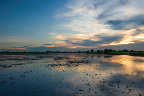 istock Reflection in water of Farm During Sunset 1270727769