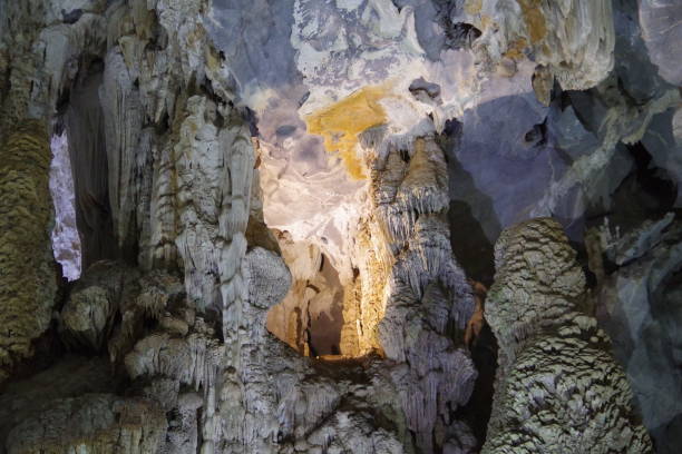 istock Phong Nha-Ke Bang National Park 1270730835