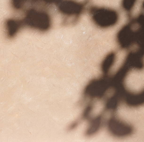 istock Abstract natural leaves shadows  background on beige paint wall texture . copy space. floral card 1270730932