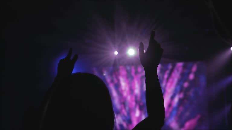 Live Music Concert - silhouette audience