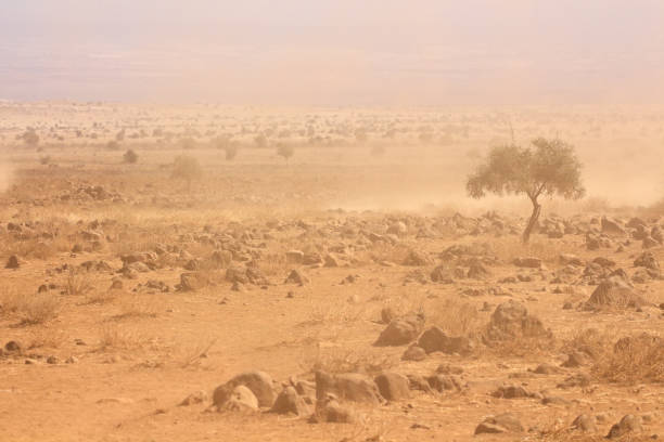 Barren plains with dust storm during a severe drought, Kenya