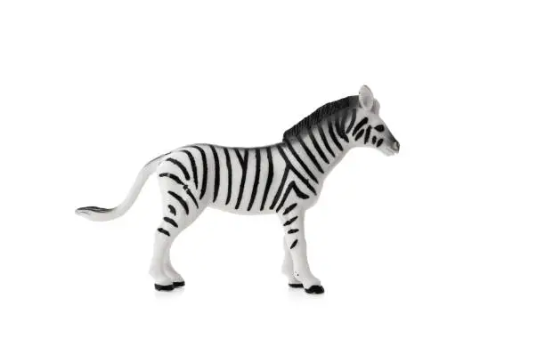 Photo of Zebra toy isolated on white background