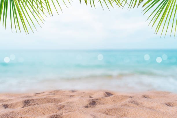 istock Tropical nature clean beach and white sand in summer with palm tree leaf sun light blue sky and bokeh abstract  background. 1270732627