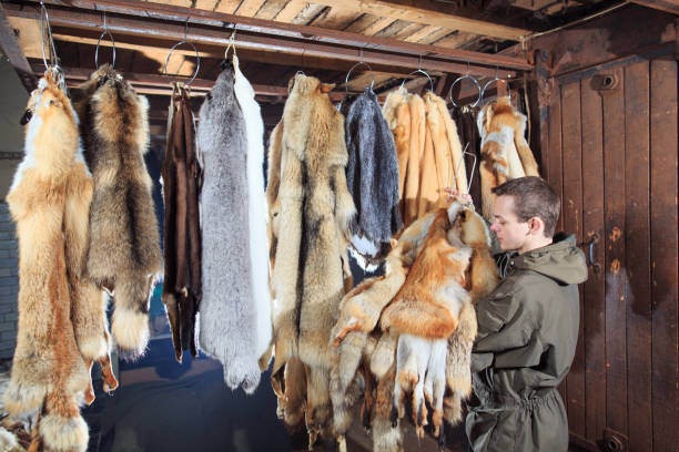 istock A young man hangs up the fur after treatment. 1270737550
