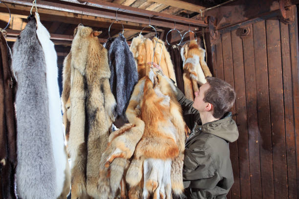 istock A young man hangs up the fur after treatment. 1270737552