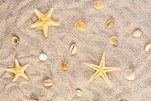 Stock photo showing close-up, elevated view of seashells with a starfish surrounding sandstone, pink quartz and granite stone hearts lying on the sand on a sunny, golden beach with sea at low tide in the background. Romantic holiday and honeymoon concept.