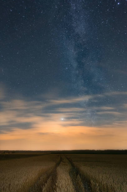istock Milky way sunset above a wheat field 1270738533
