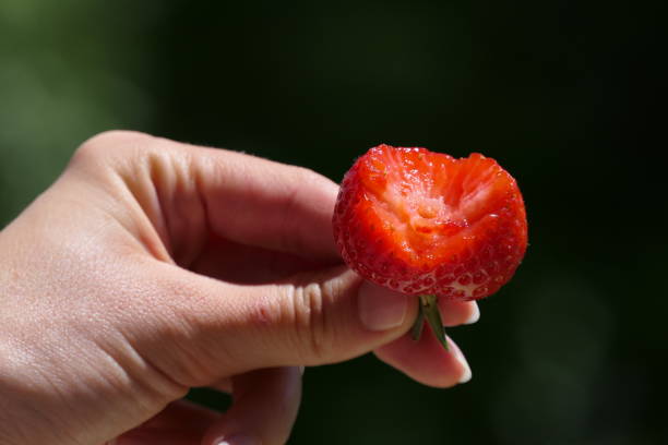 Female hand with half a strawberry