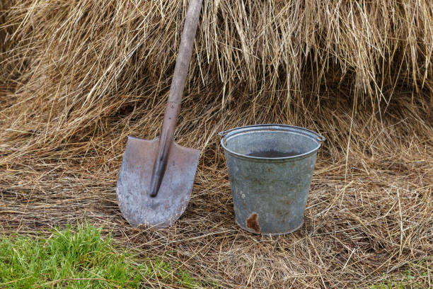 istock shovel and iron bucket 1270744789
