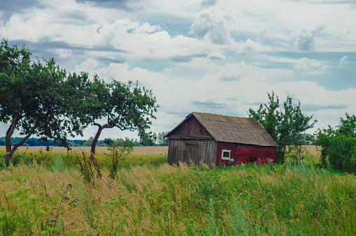Small red weathered barn abandoned in a green field. High quality photo