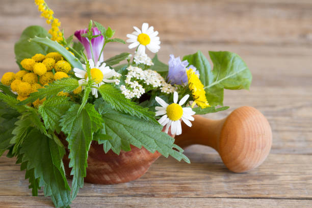 istock Fresh herbs in the mortar 1270746587