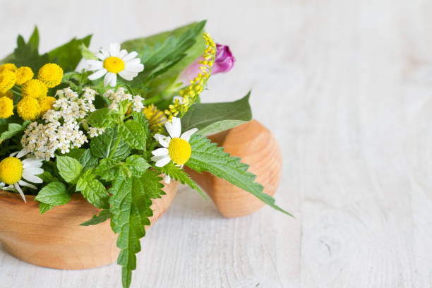 istock Fresh herbs in the mortar 1270746678