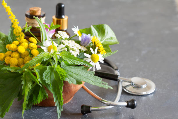 erbe fresche e concetto di medicina alternativa stetoscopio - healthy lifestyle homeopathic medicine aloe plant foto e immagini stock