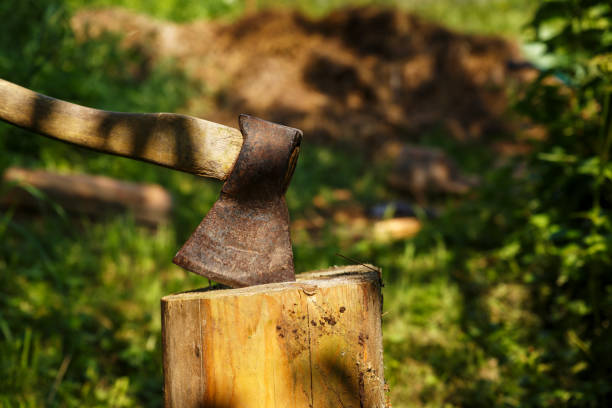 istock Ax stuck in the stump. 1270746924