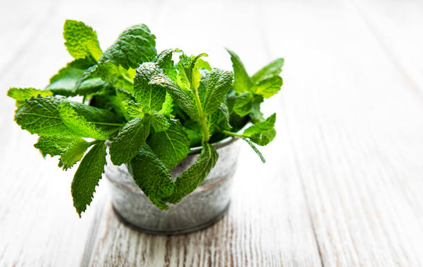 istock Fresh mint in bucket 1270747795