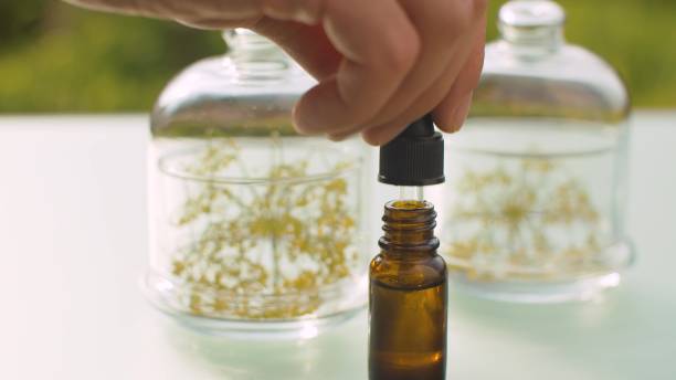 Dill or fennel essential oil