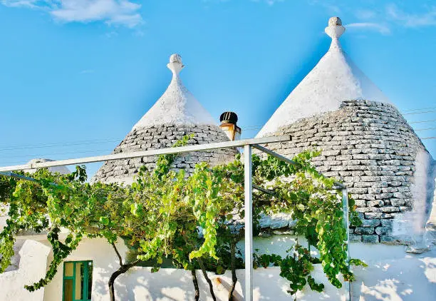 Trulli house, traditional Apulian dry stone hut old houses with a conical roof in Itria Valley, Puglia, Italy, with vineyard in the countryside