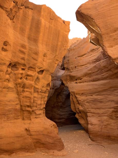 istock Detail of Red Canyon in Eilat 1270755009