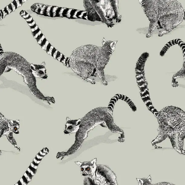 Vector illustration of Ring-tailed Lemur Seamless Repeat Pattern