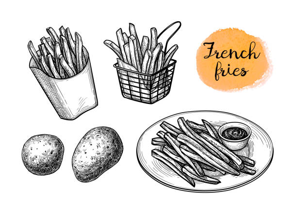 Ink sketch of french fries. French fries. Fried potatoes. Ink sketch isolated on white background. Hand drawn vector illustration. Retro style. french fries stock illustrations