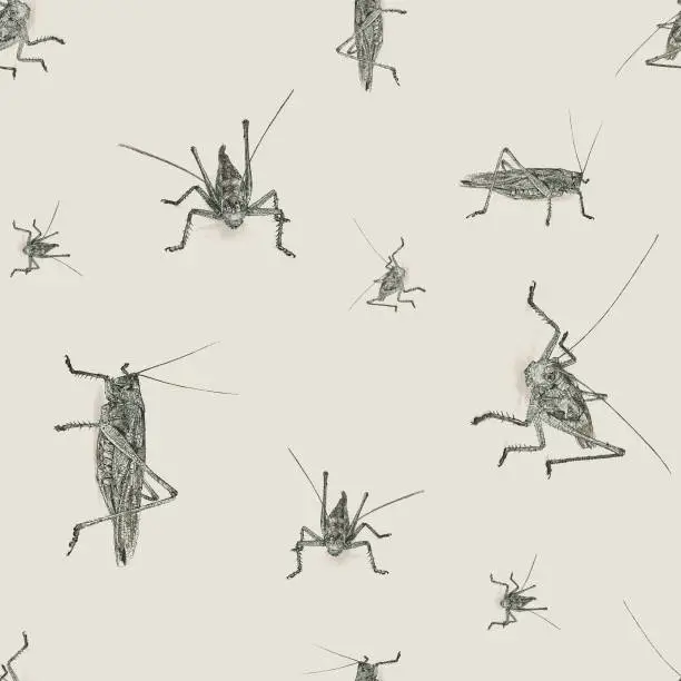 Vector illustration of Grasshopper Seamless Repeat Pattern