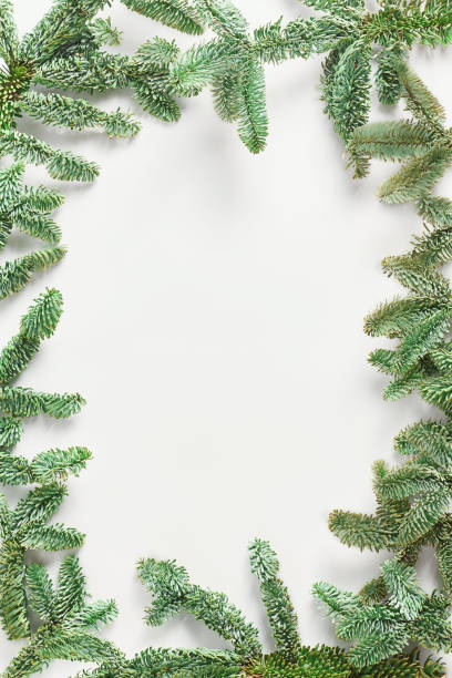 istock the frame of spruce branches. Christmas concept. copy space, flat lay, top view 1270758423