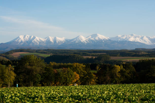 istock Autumn hills and snow covered mountains 1270758672