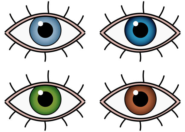 ilustraciones, imágenes clip art, dibujos animados e iconos de stock de cuatro ojos de diferentes colores - color de ojos