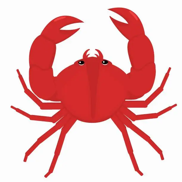 Vector illustration of Заголовок: illustration of a crab on a white background