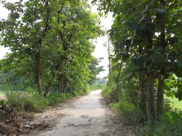 istock Villages road 1270779470
