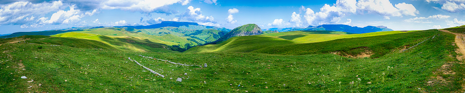 Mountain meadows covered with lush, lush grass