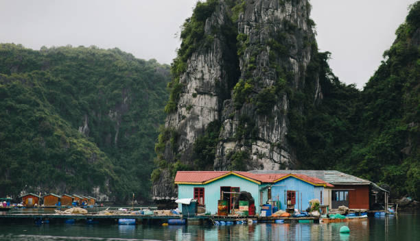 ha long bay floating village - fishing hut imagens e fotografias de stock