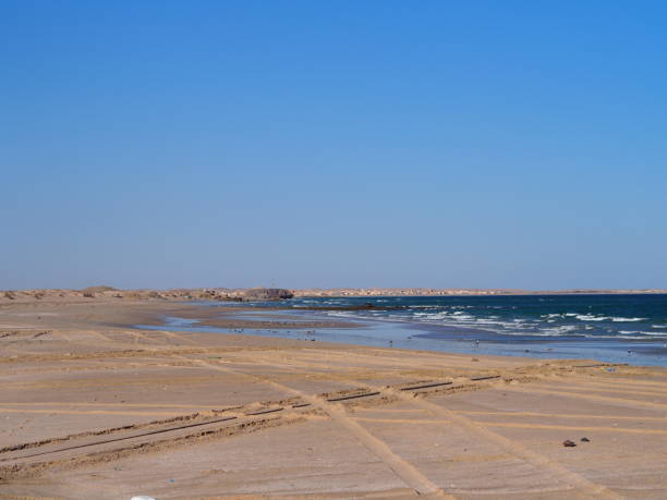 istock Ras al Jinz beach, turtle reserve 1270781691