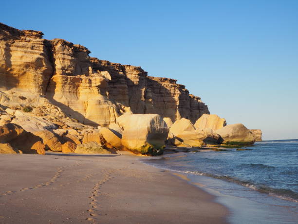 istock Ras al Jinz beach, turtle reserve 1270782499