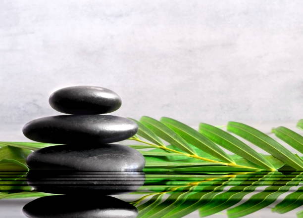 istock Spa concept with wet black stones and palm leaf. 1270785592