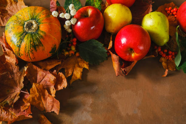 istock Fruits and pumpkin on brown backdrop. 1270786625