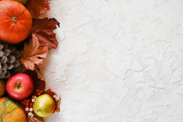 istock Autumn healthy food background. 1270786653